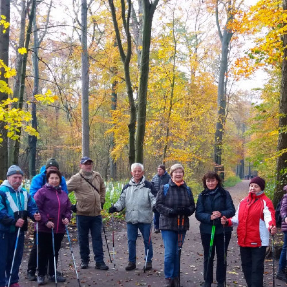 nordic-walking-group-261025-7.jpg