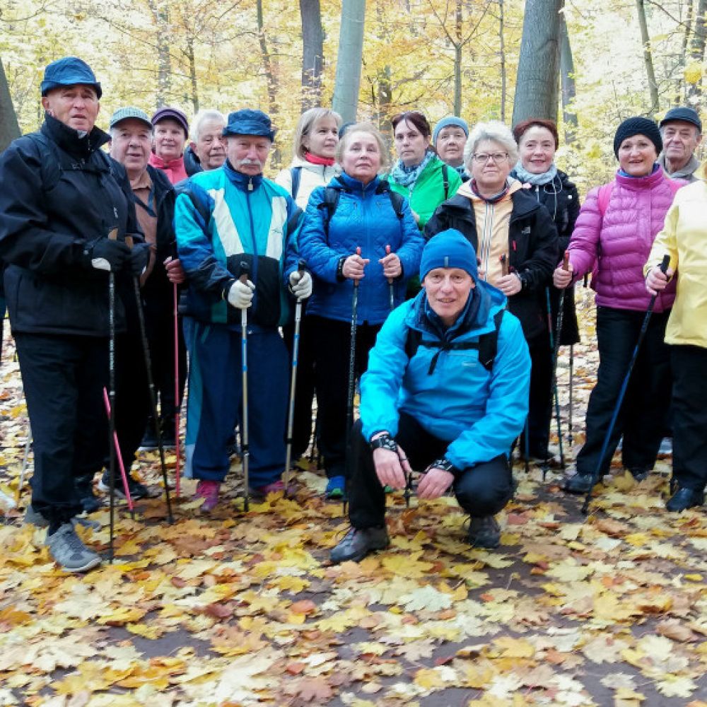 nordic-walking-group-261025-11.jpg